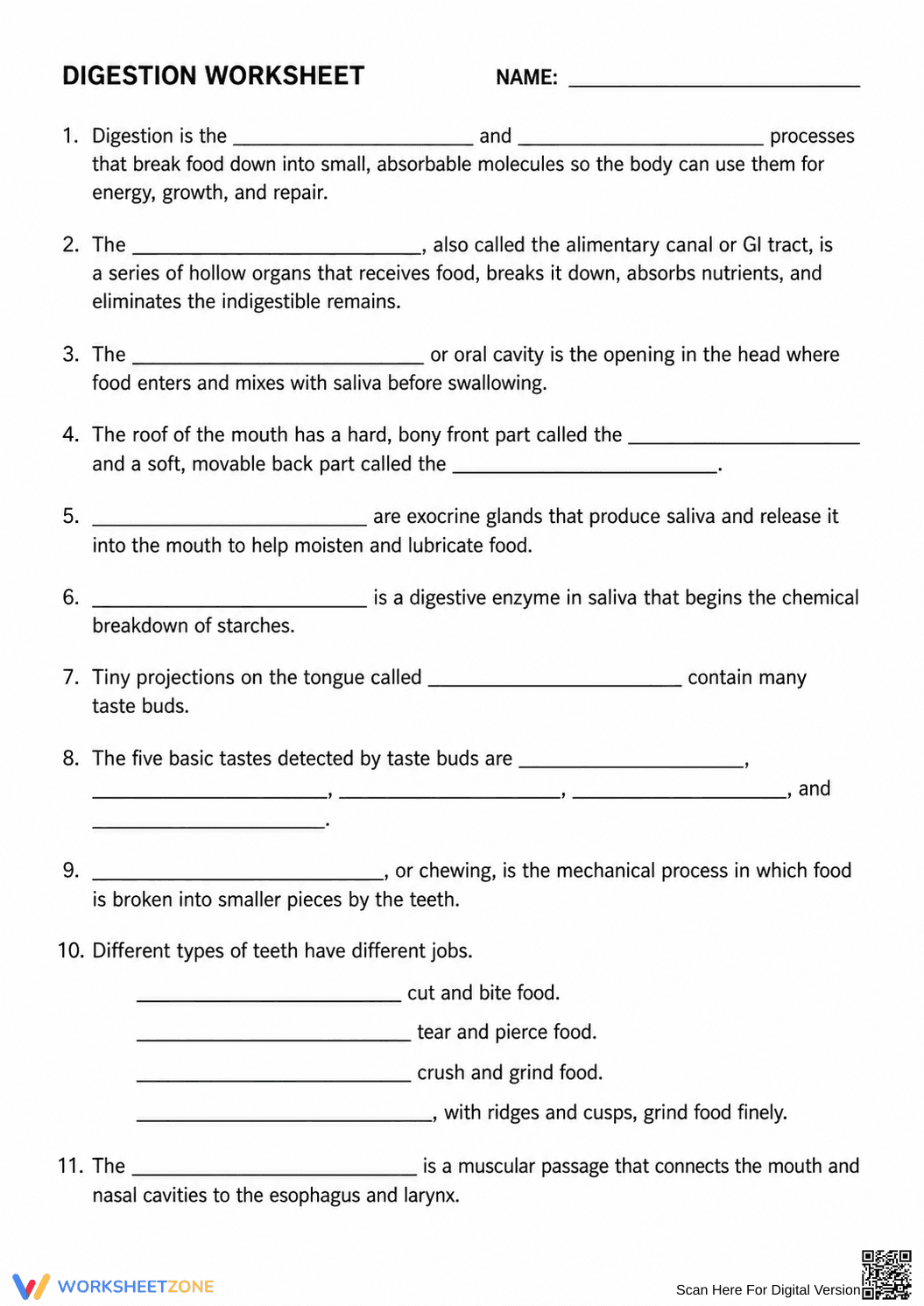 Digestive System Worksheet | Grade 6-8 Science Printable - Page 1