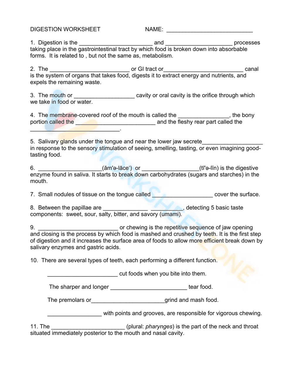 Digestion worksheet - Page 1