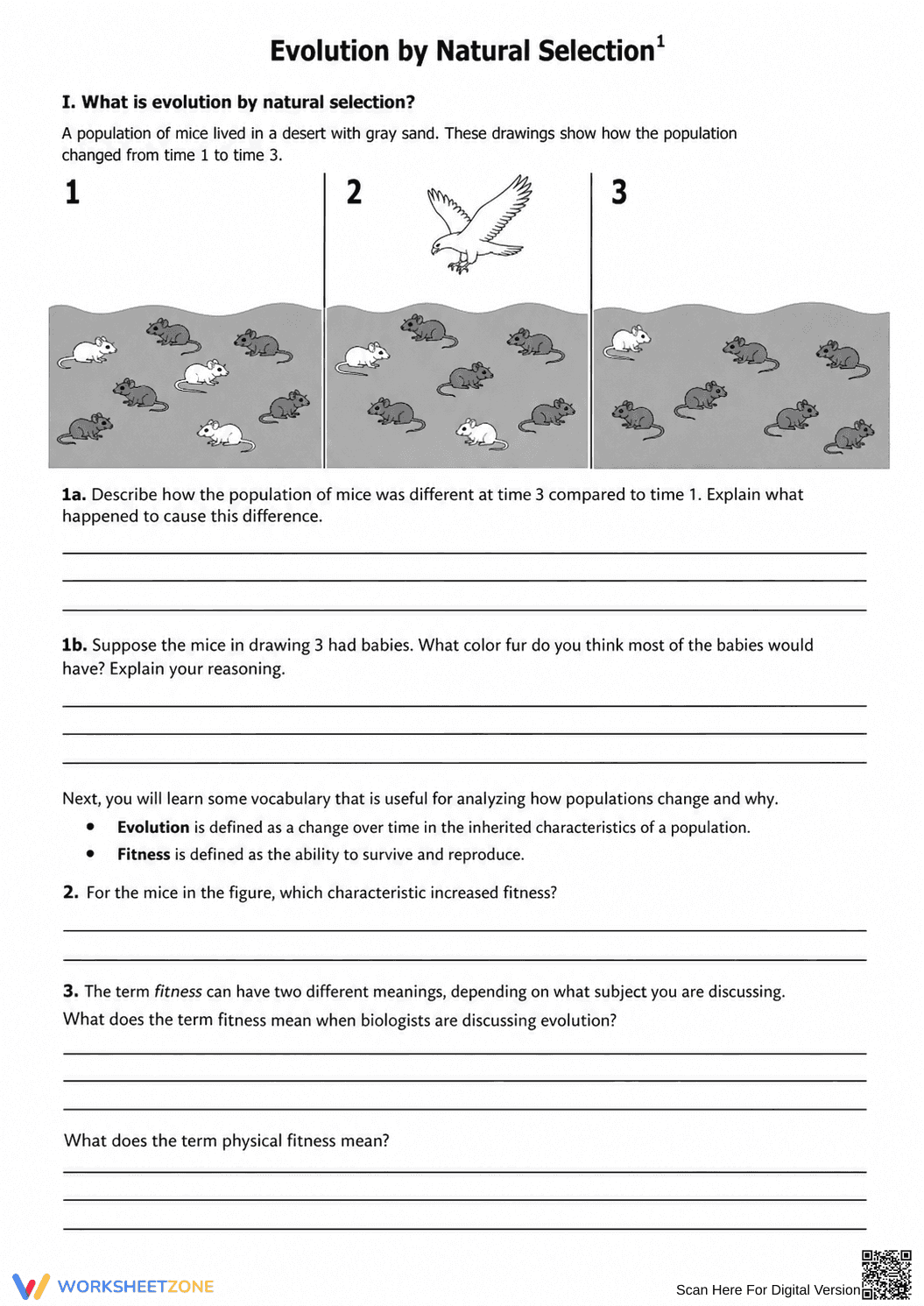 Essential Natural Selection Worksheet | Grade 7 Science - Page 1