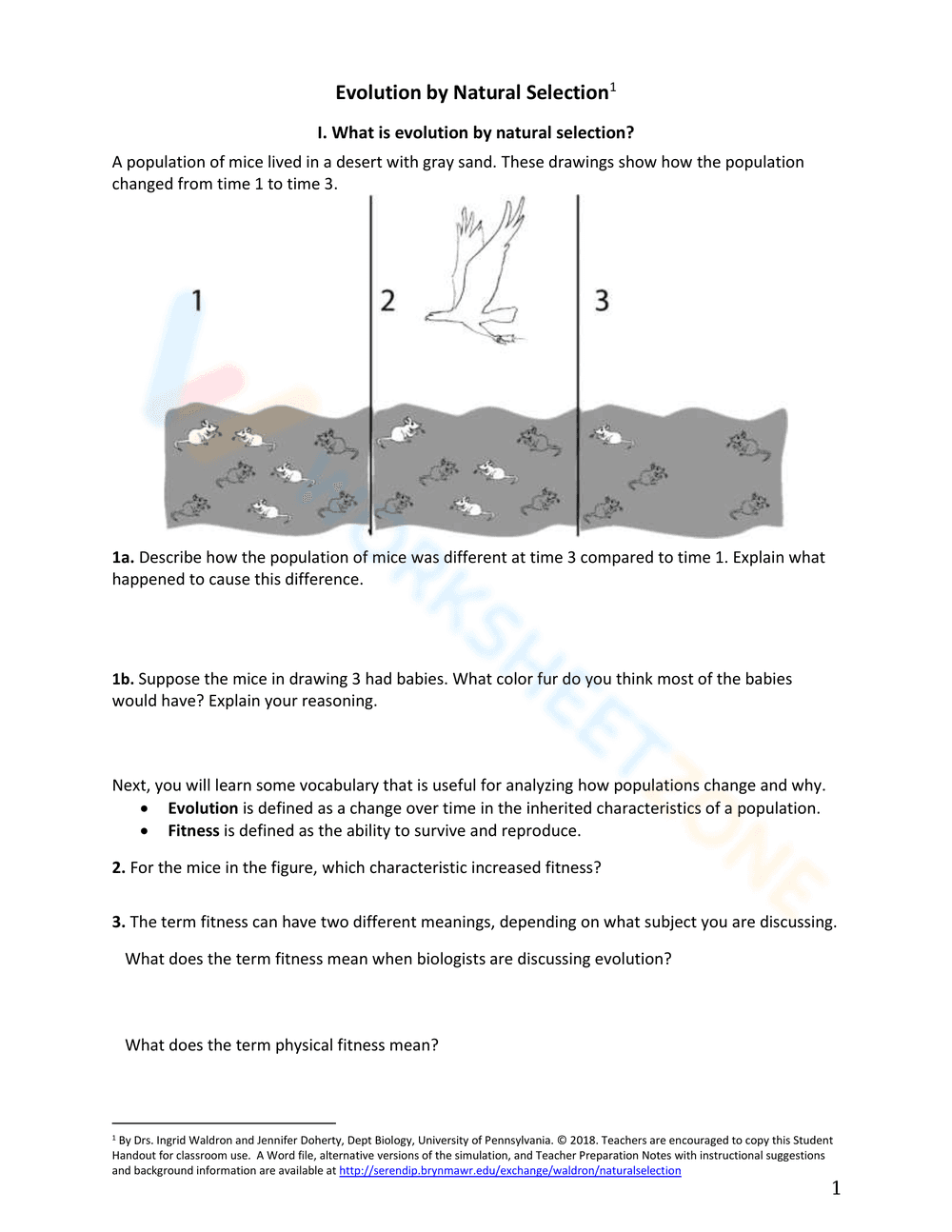 Evolution by Natural Selection - Page 1
