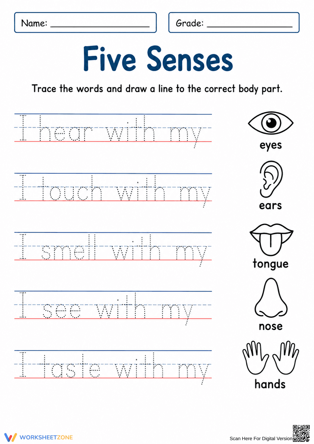 Grade K Five Senses — Printable No-Prep Worksheet - Page 1