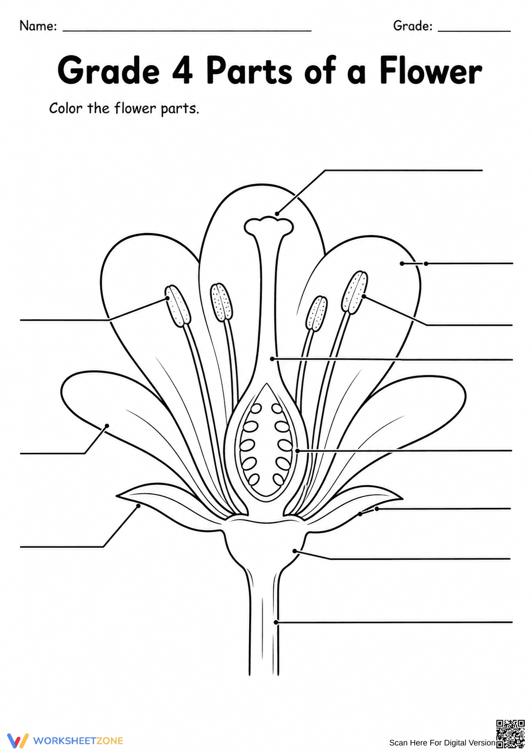 Printable Grade 4 Parts of a Flower No-Prep Worksheet - Page 1