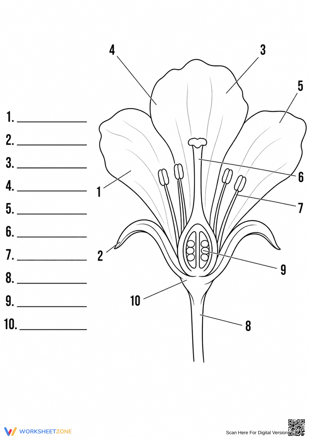 Grade 4 Flower Labeling — Printable No-Prep Worksheet - Page 1