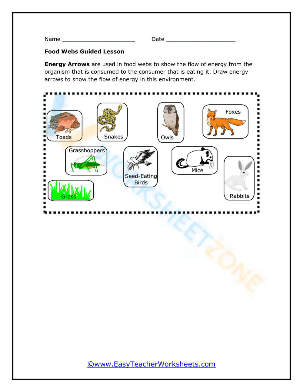 Food web with guided lesson - Page 1