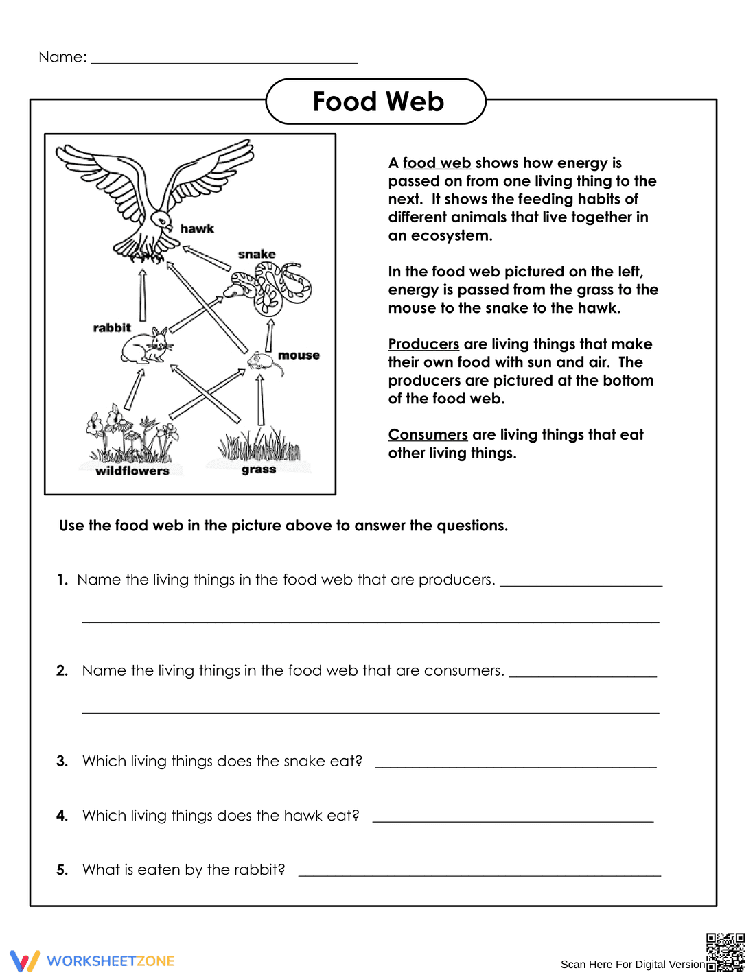 Essential Grade 7 Food Web and Chain Worksheet - Page 1