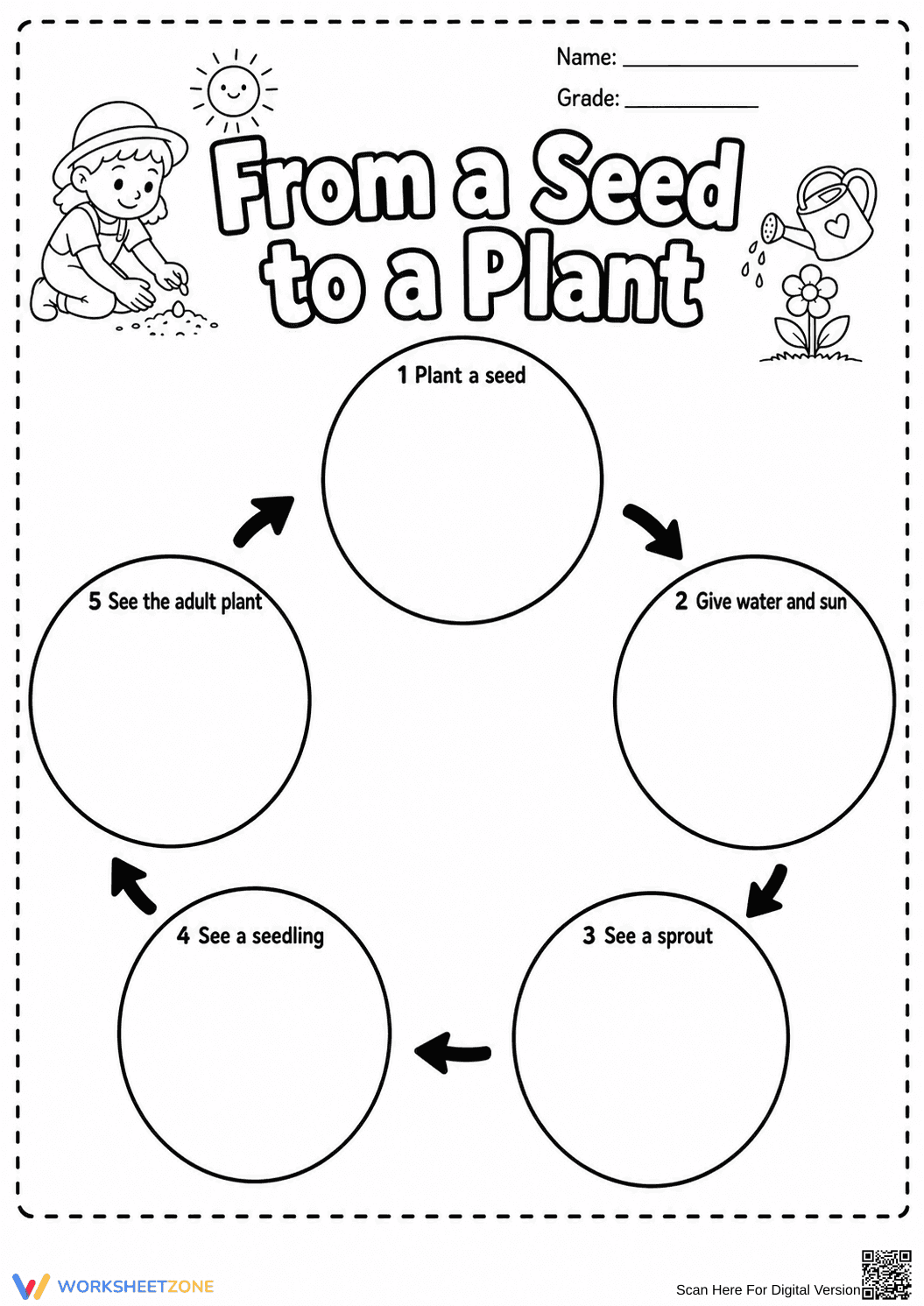 Plant Life Cycle Worksheet | Printable Grade K-1 - Page 1