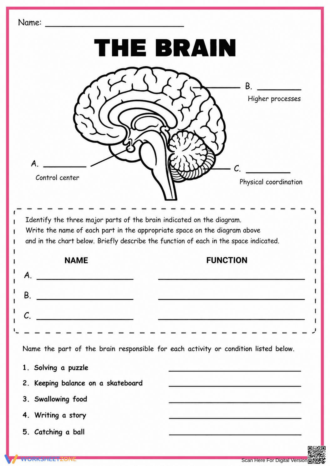 Essential Brain Functions Worksheet | Grade 7 Science Ready - Page 1