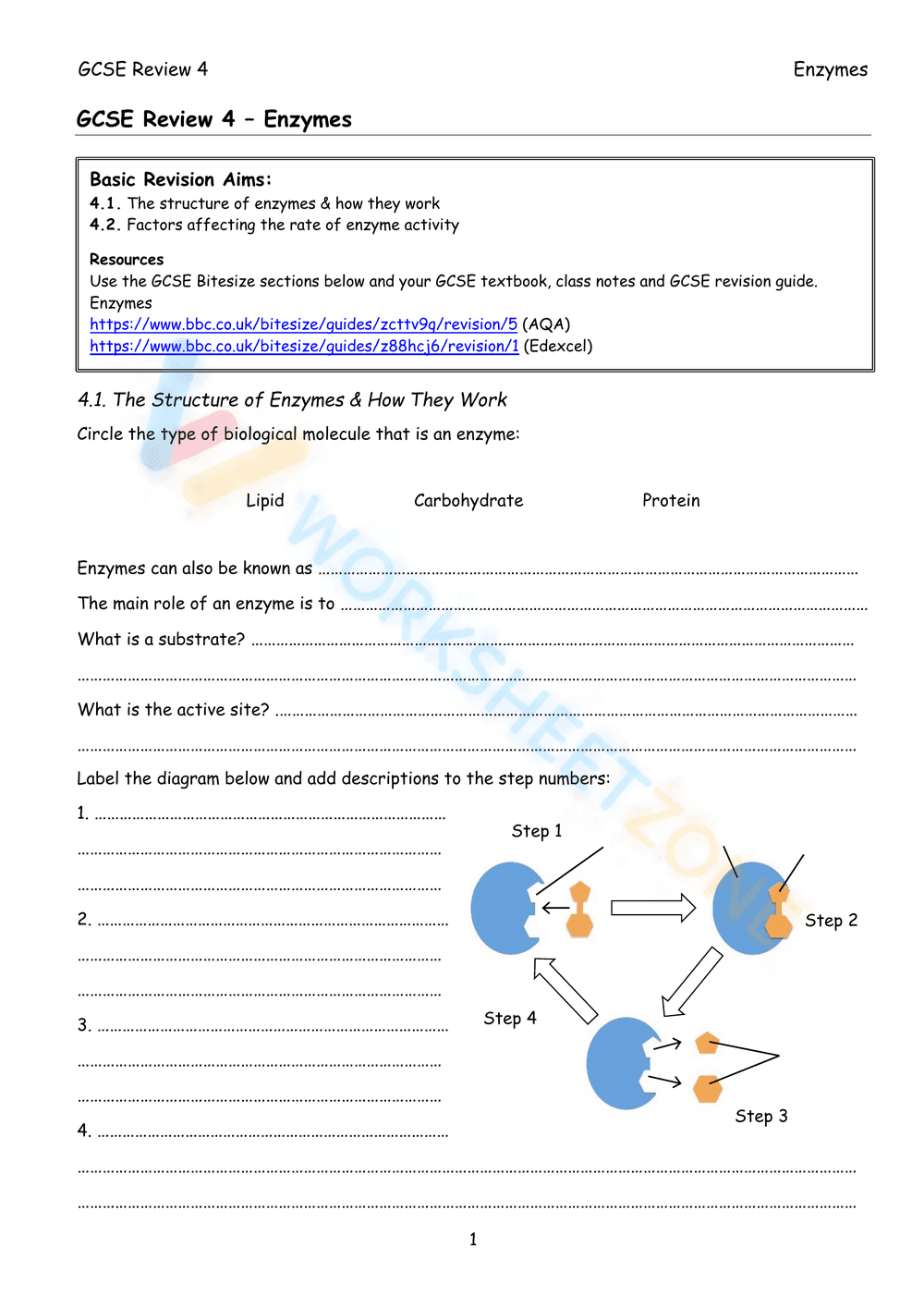 Printable Enzyme Review Worksheet | Grade 10 Biology - Page 1