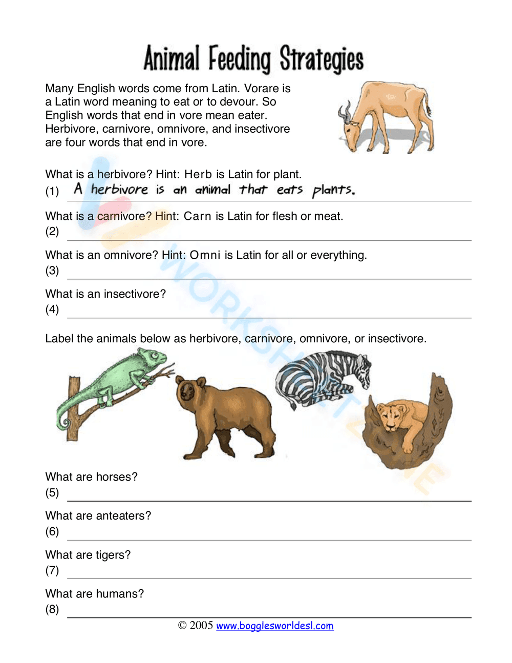 Grade 4 Animal Diets — Printable No-Prep Worksheet - Page 1