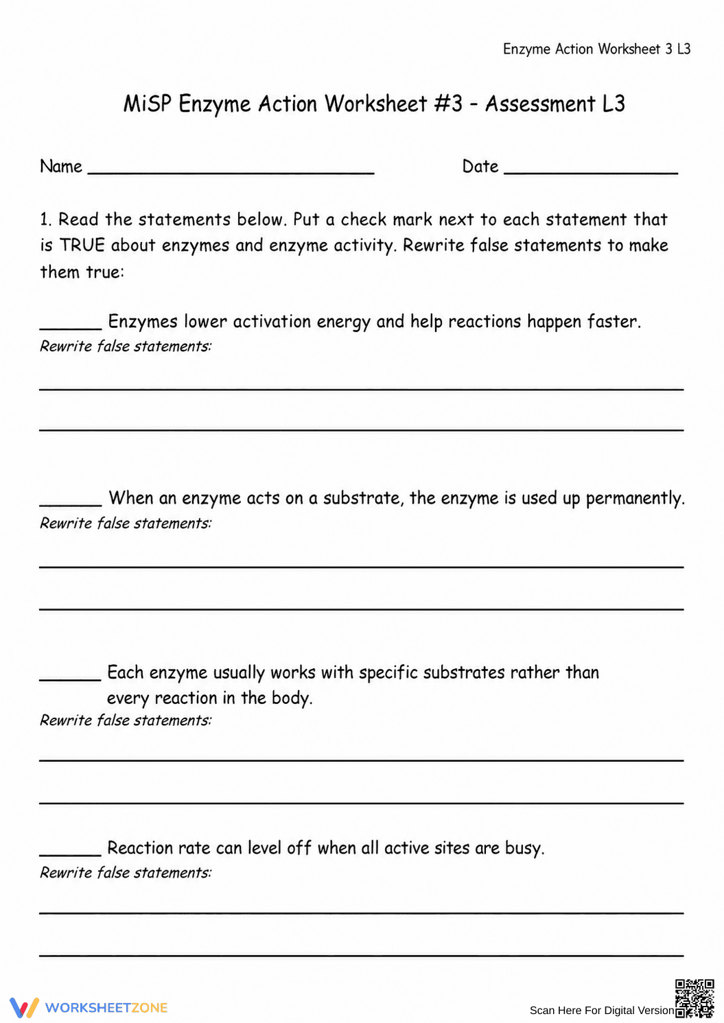 Printable Enzyme Action Worksheet (3 Levels) | Grade 8 - Page 1