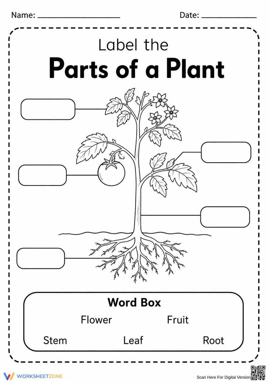Grade 1 Parts of a Plant — Printable No-Prep Worksheet - Page 1