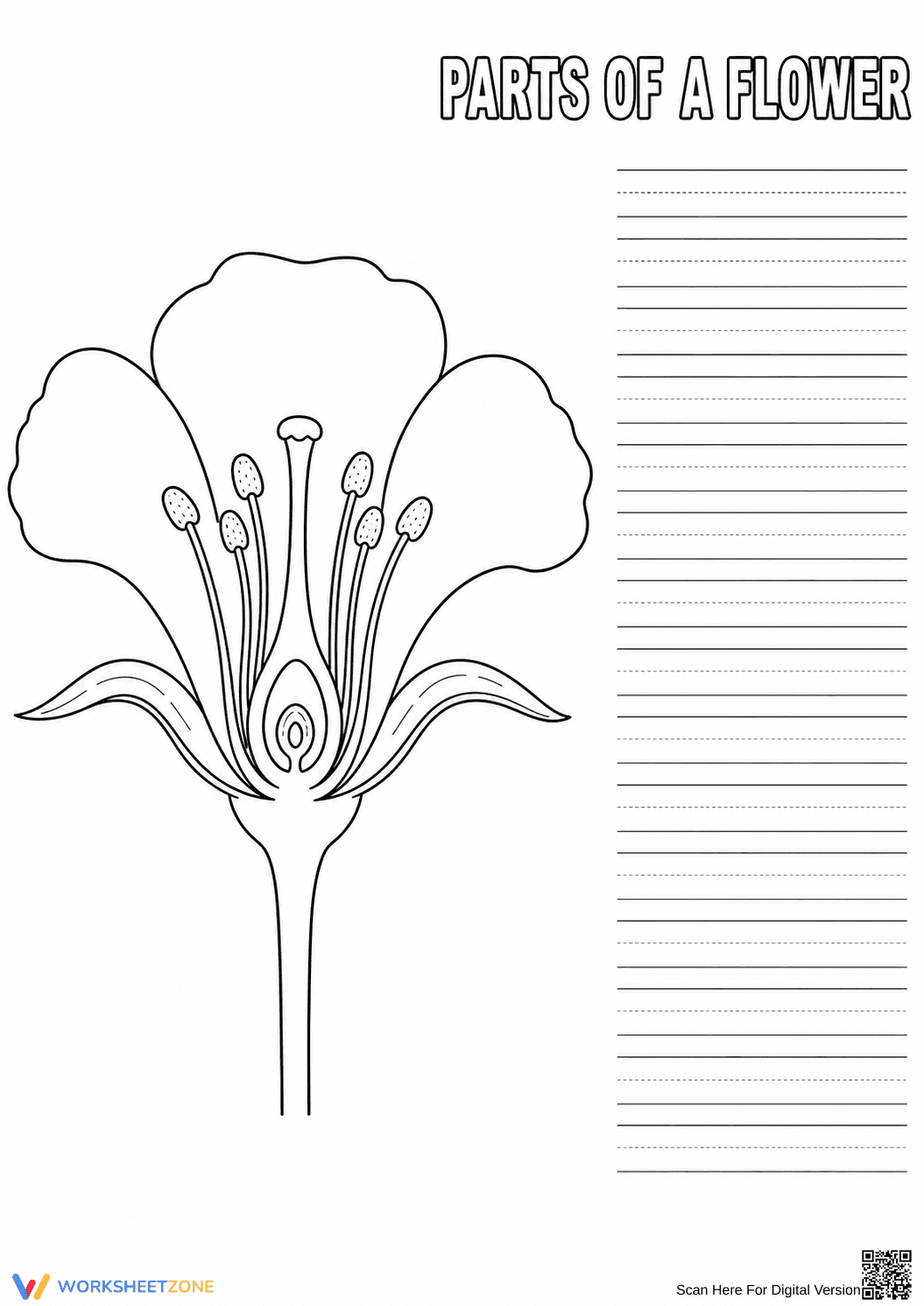 Grade 1 Parts of a Flower — Printable No-Prep Worksheet - Page 1