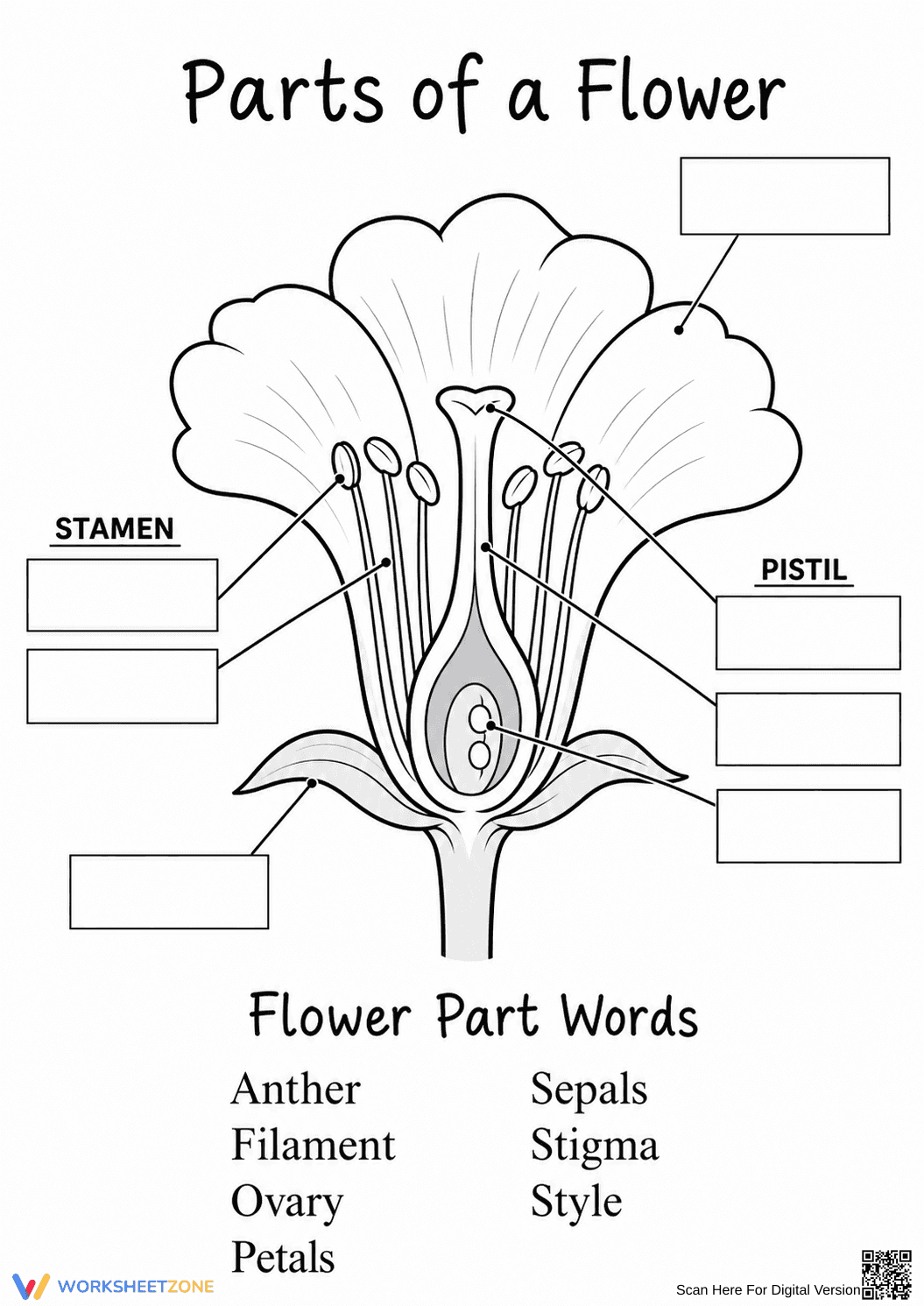 Parts of a Flower Worksheet | Essential Grade 1-2 Science - Page 1