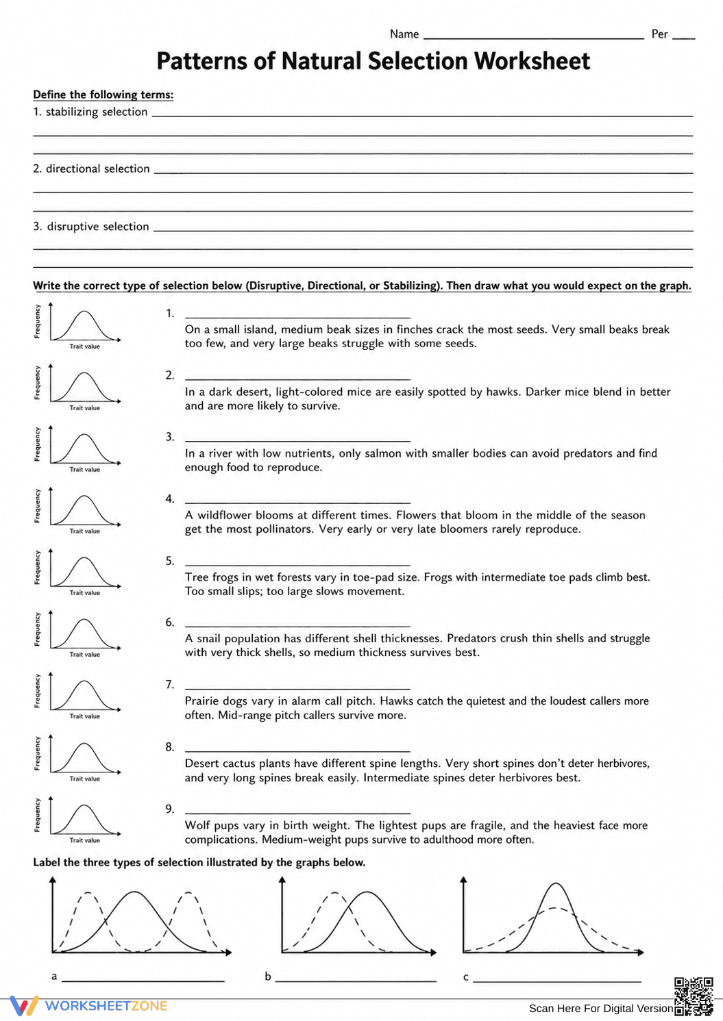Essential Natural Selection Worksheet | Grade 9-12 - Page 1