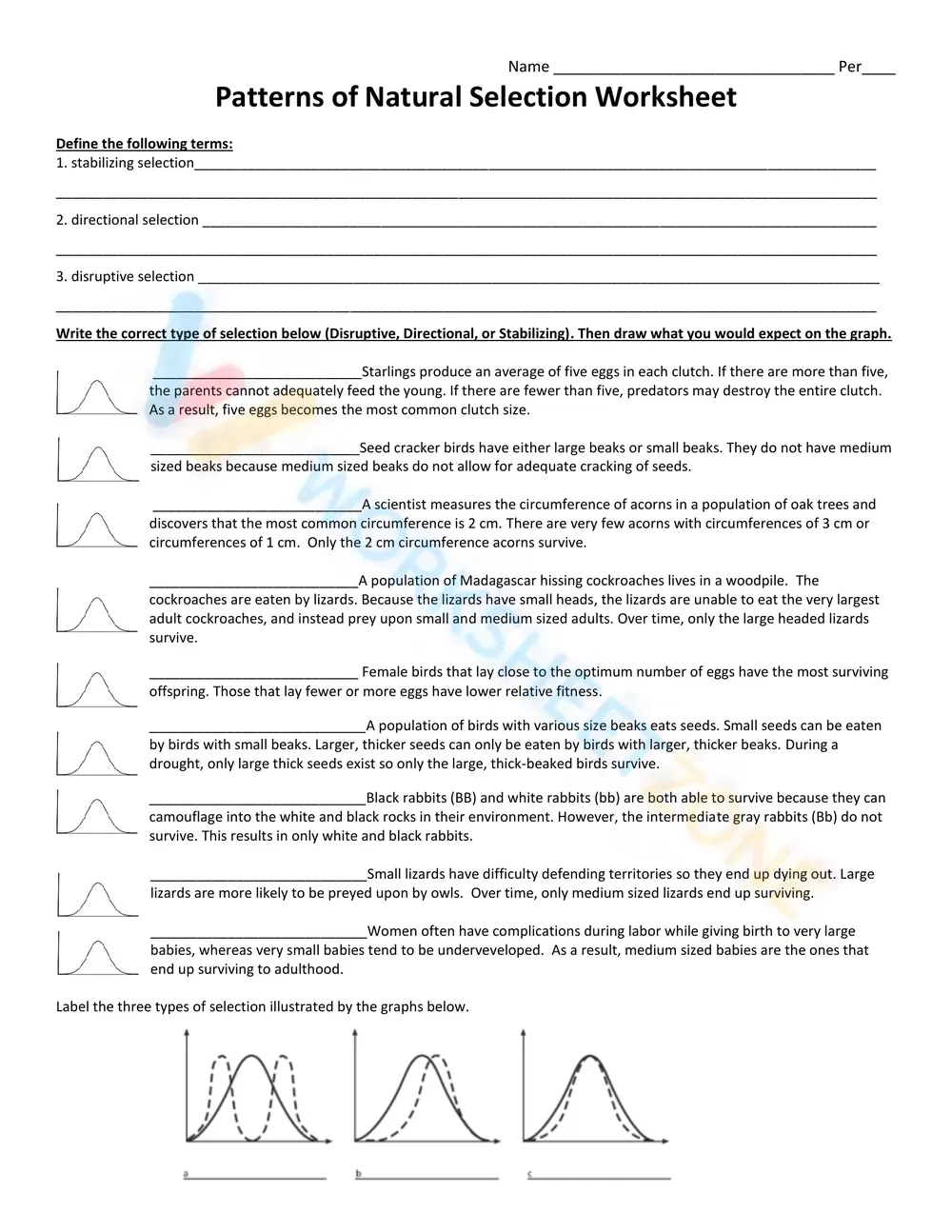 Patterns of Natural Selection Worksheet | Essential Biology - Page 1