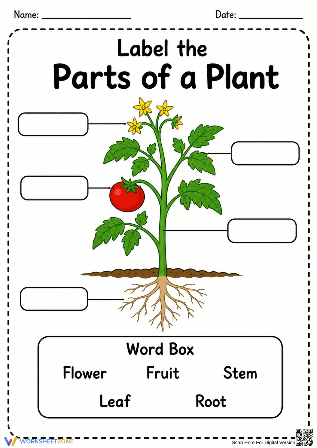 Essential Plant Parts Worksheet | Grade 1 Science - Page 1