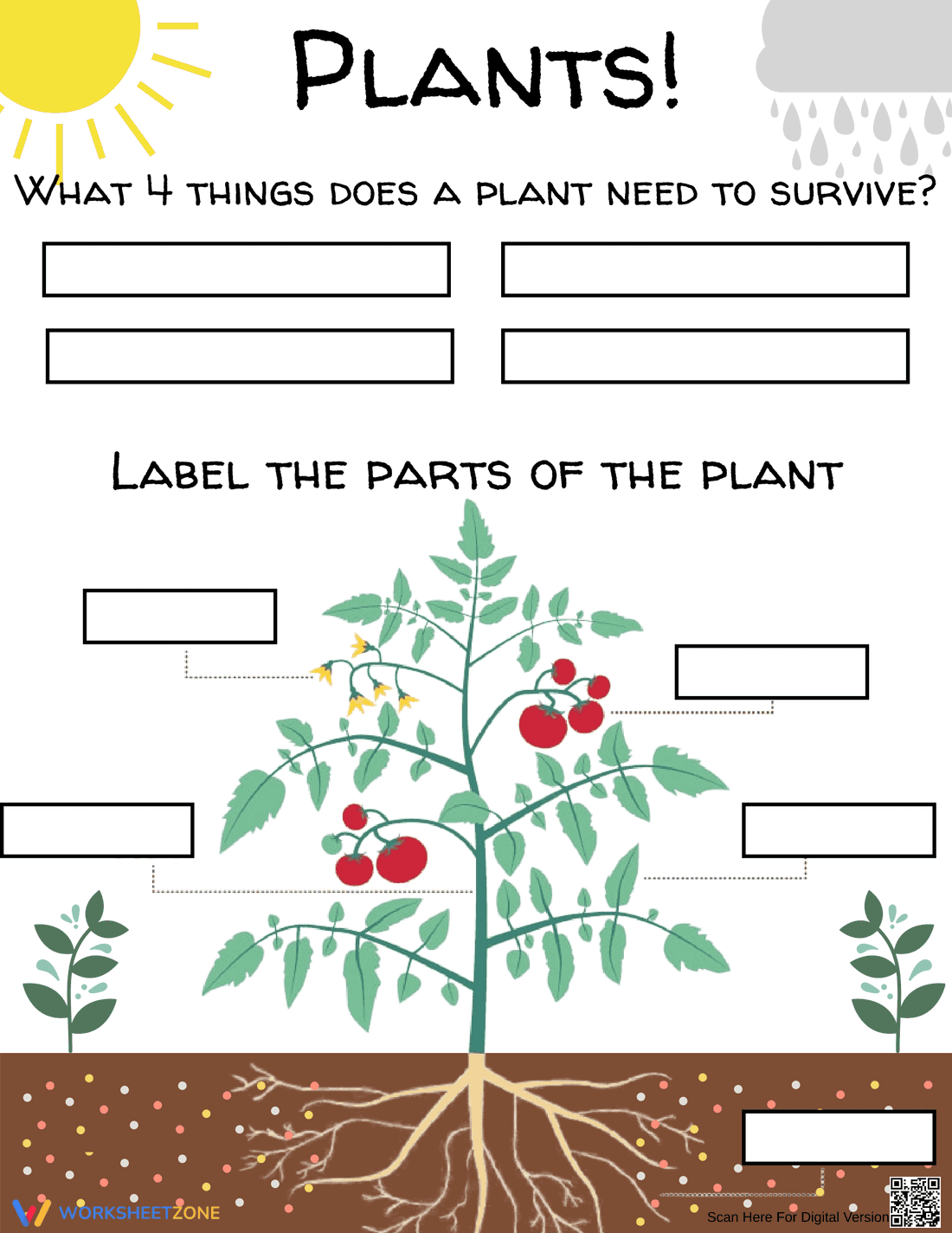 Planting and Plant Parts Worksheet | Grade 1 Essential - Page 1