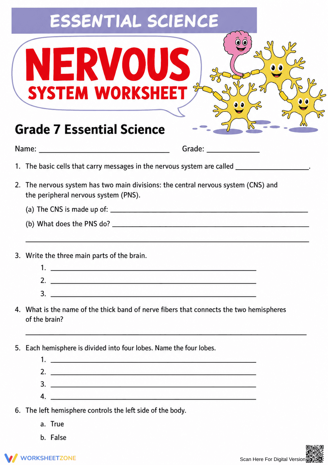Printable Nervous System Worksheet | Grade 7 Science - Page 1