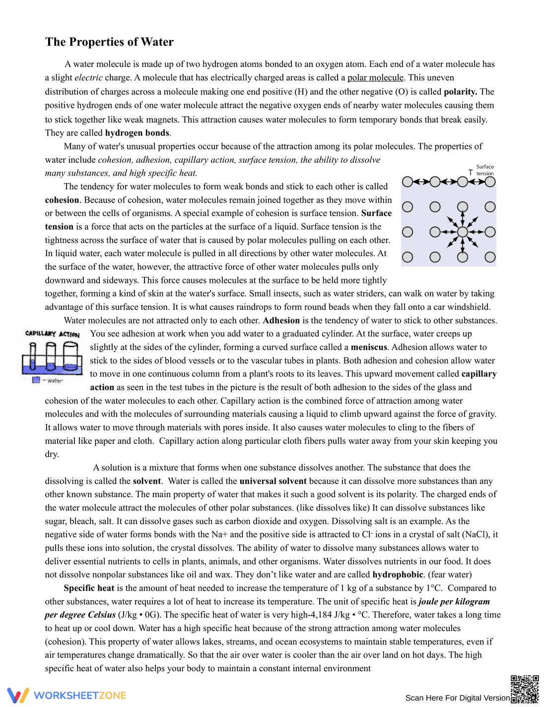 Grade 9 Properties of Water — Printable No-Prep Worksheet - Page 1
