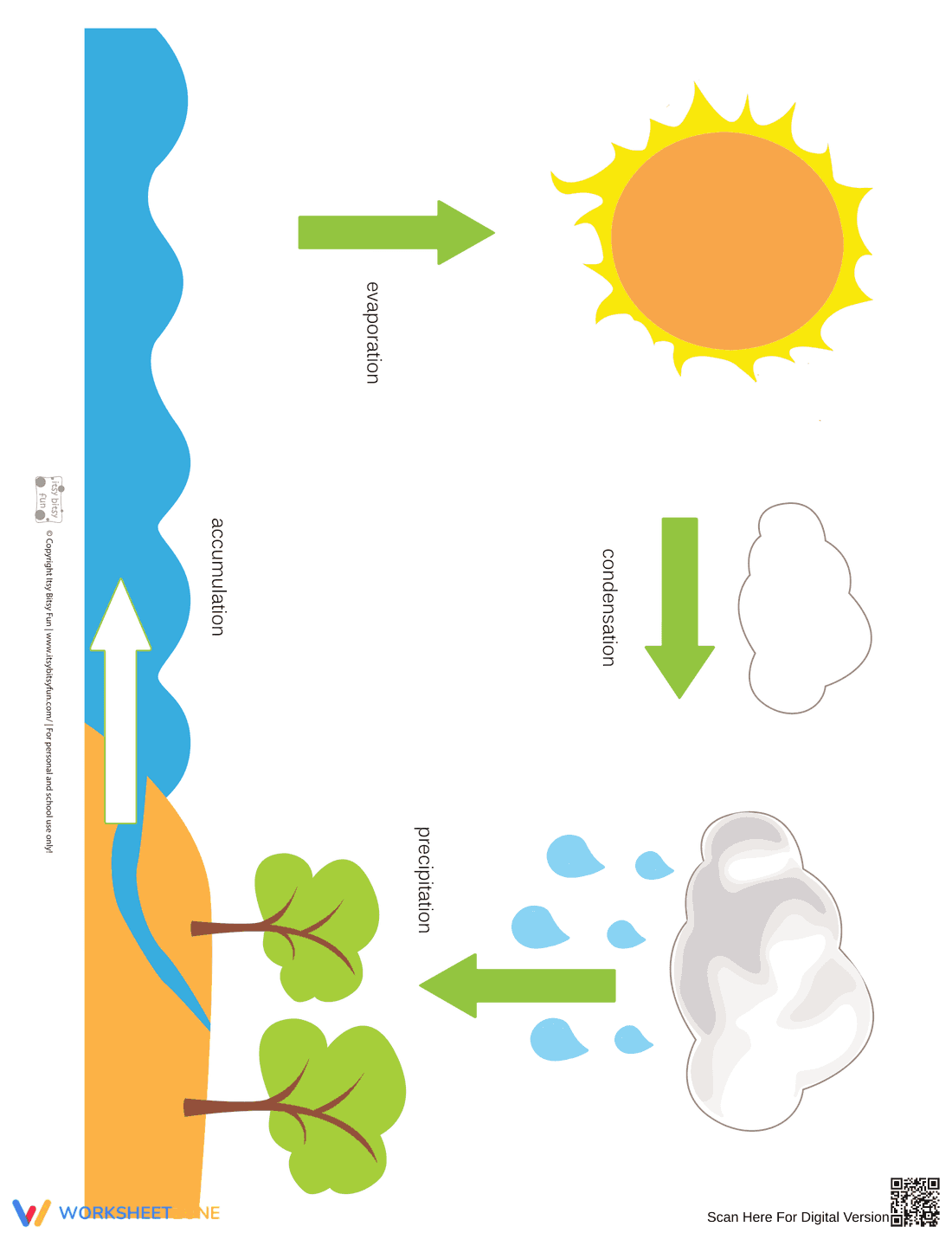 Water Cycle Worksheet (3 Levels) | Grade 5 Ready - Page 1