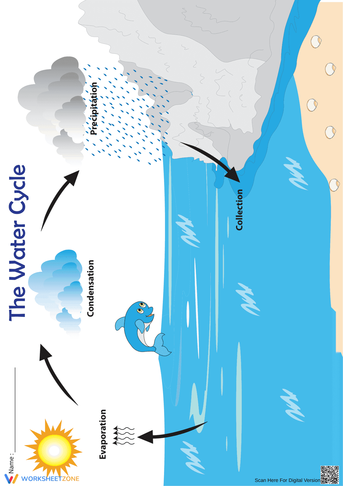 Water Cycle Chart: Essential 4-Step Process | Grade 2 - Page 1