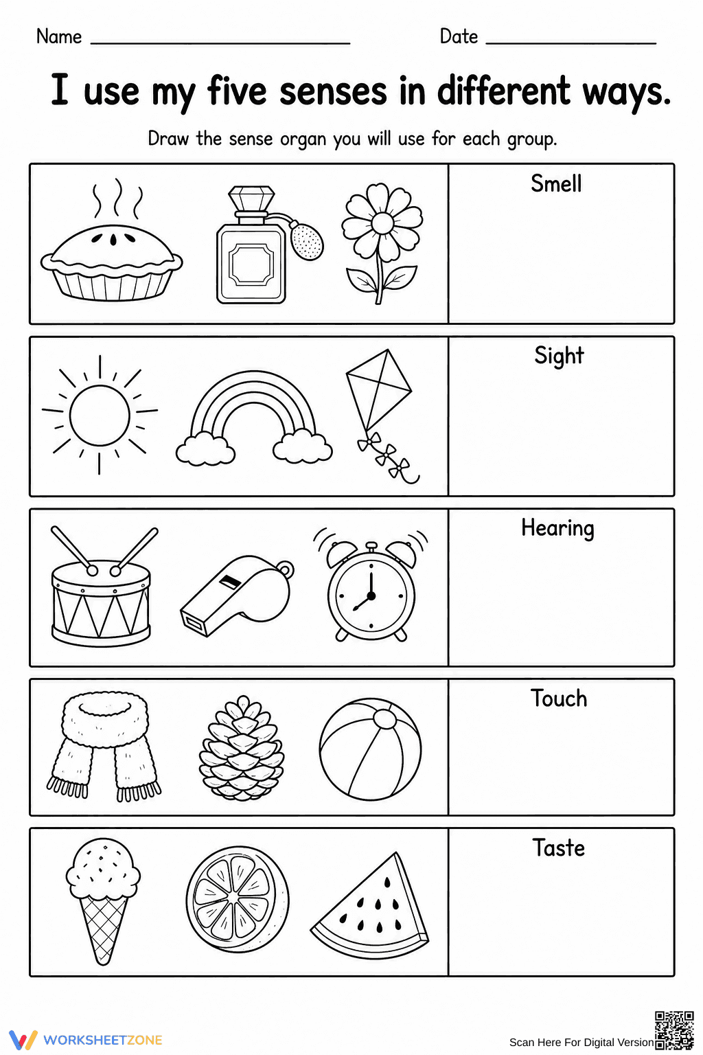 Grade 2 Five Senses — Printable No-Prep Worksheet - Page 1