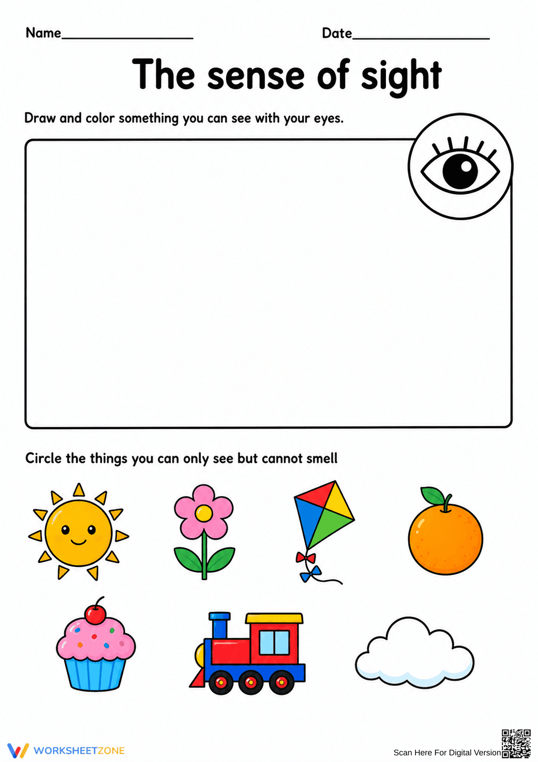 Grade 1 Sense of Sight — Printable No-Prep Worksheet - Page 1