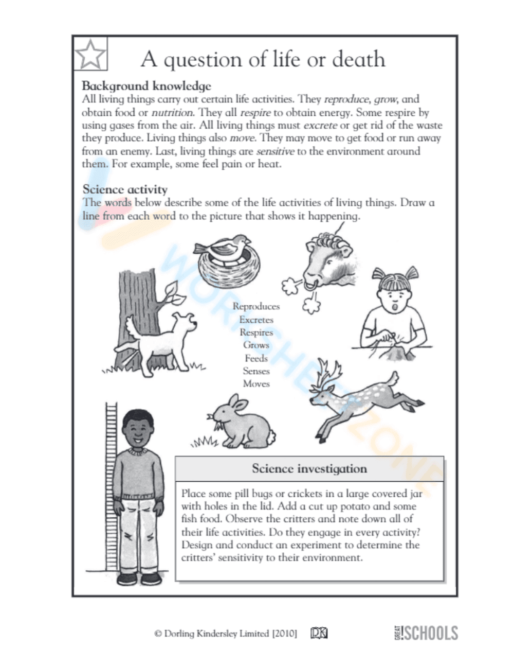 Life Processes of Living Things Worksheet - Page 1