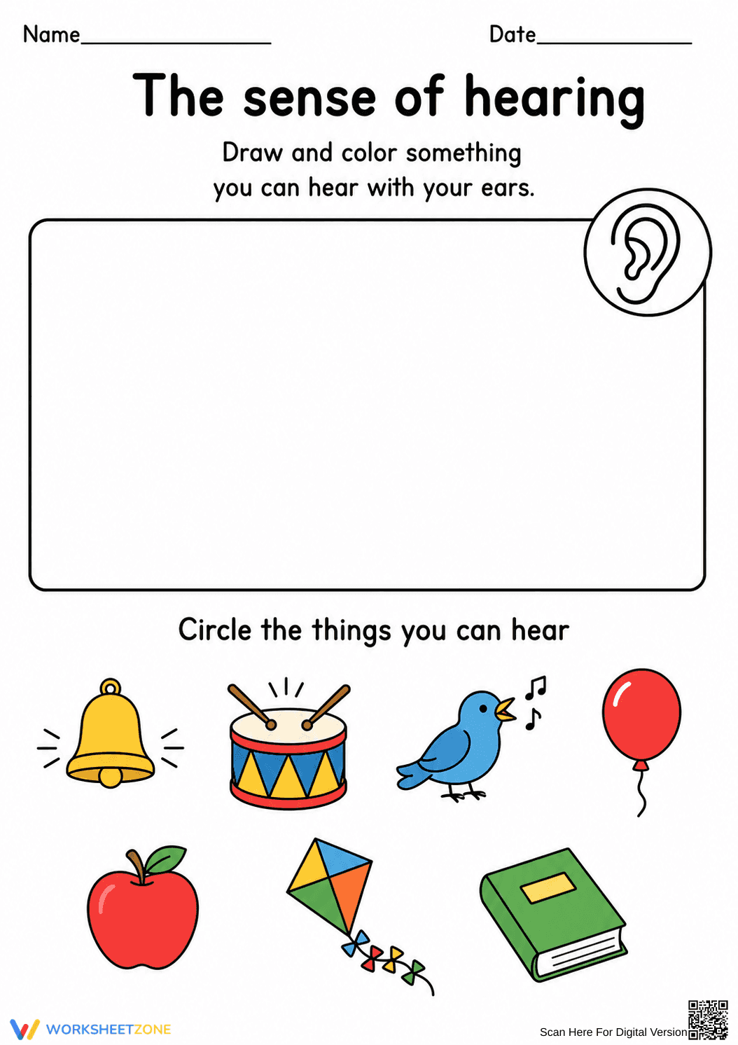 Essential Grade K Sense of Hearing No-Prep Worksheet - Page 1