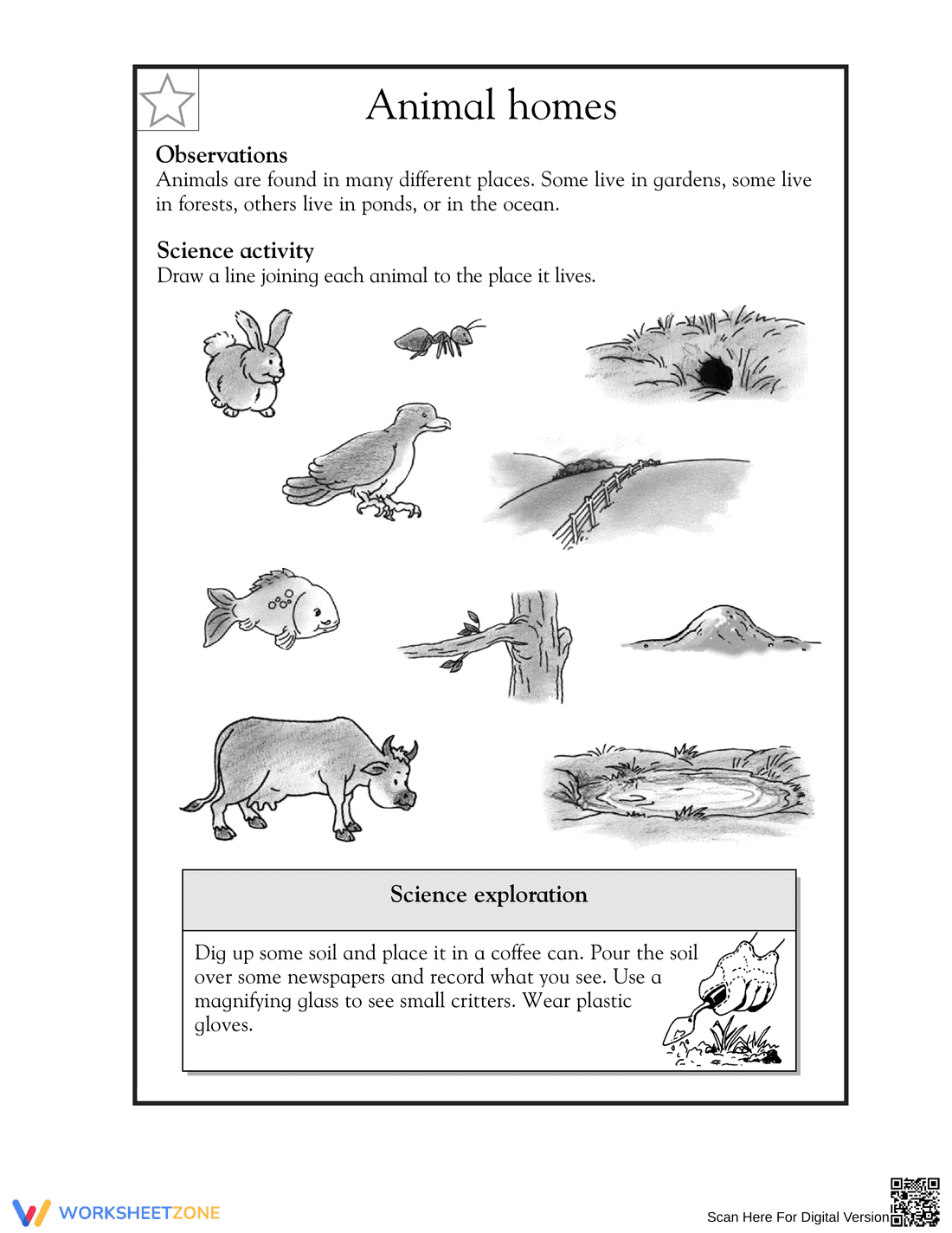 Printable Animal Homes Worksheet | Grade 2 Science - Page 1