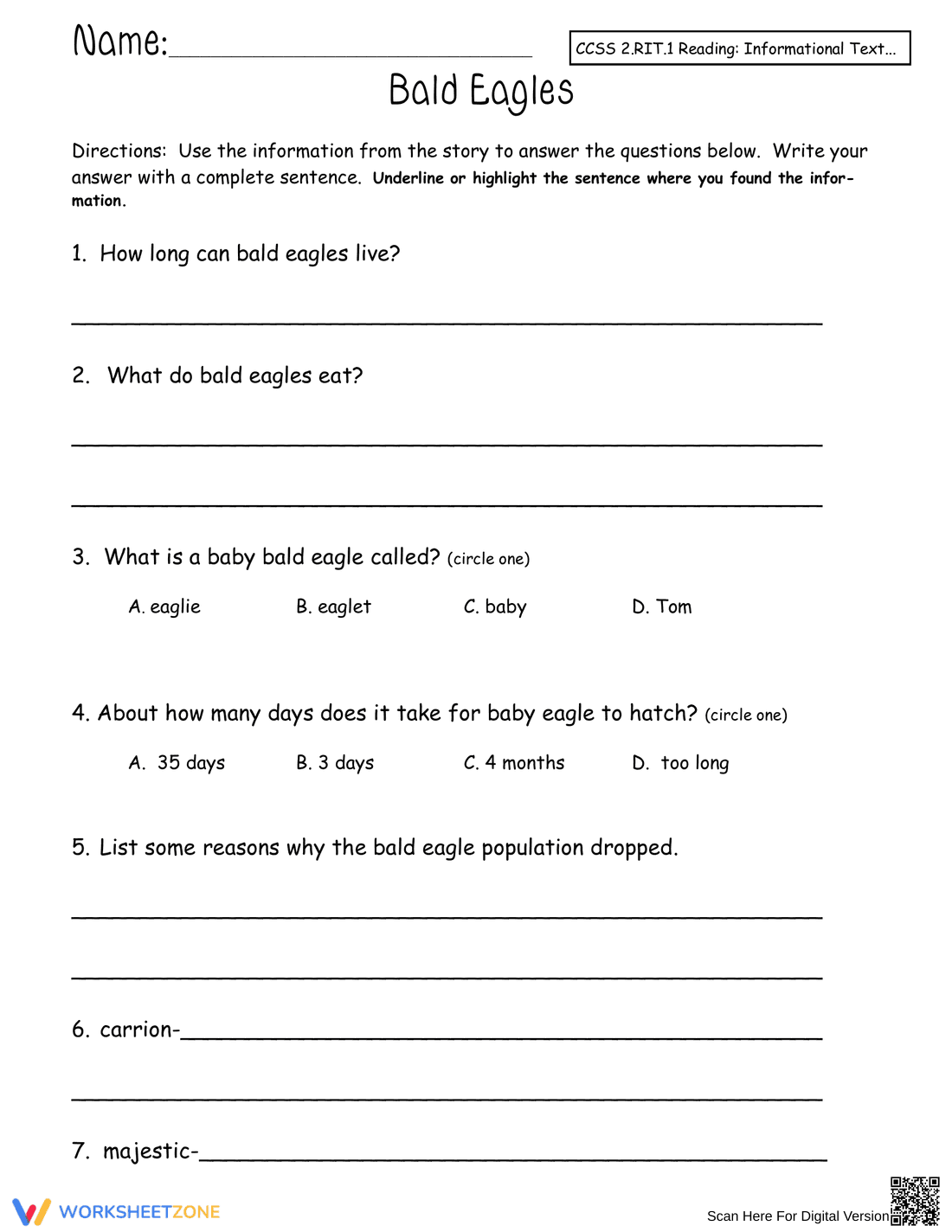 Grade 5 Bald Eagles — Printable No-Prep Worksheet - Page 1