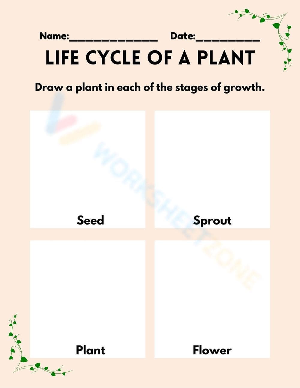 Plant Life Cycle Worksheet | Grade 3 Essential - Page 1