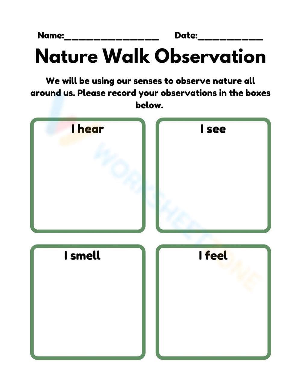 Nature Walk Observation Science Worksheet - Page 1