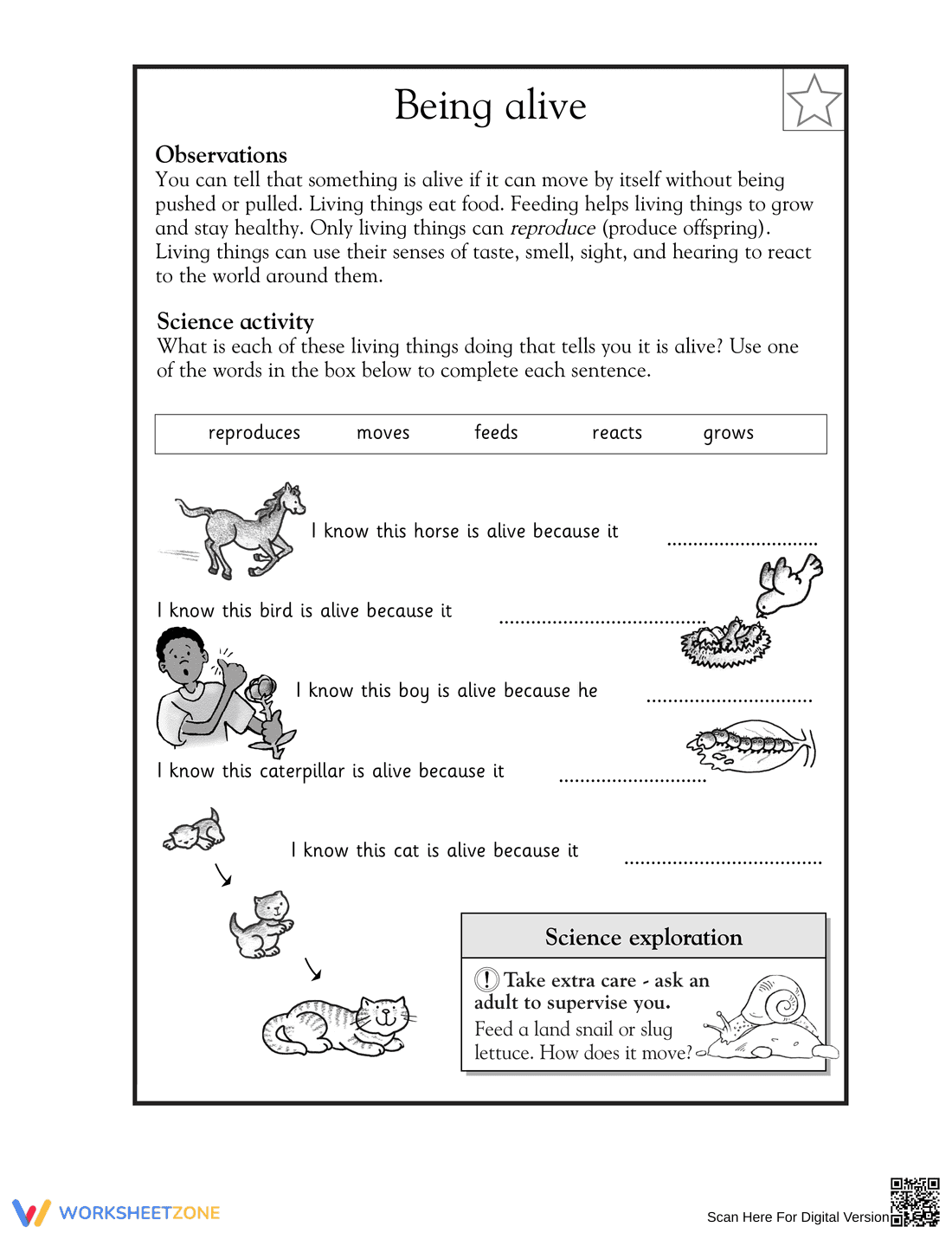 Interactive Science Worksheet for Grade 2 - Page 1