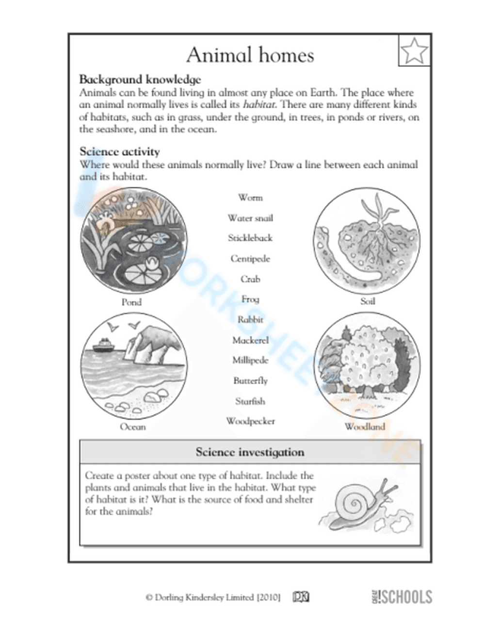 Science Fun Worksheet for 3rd Graders - Page 1