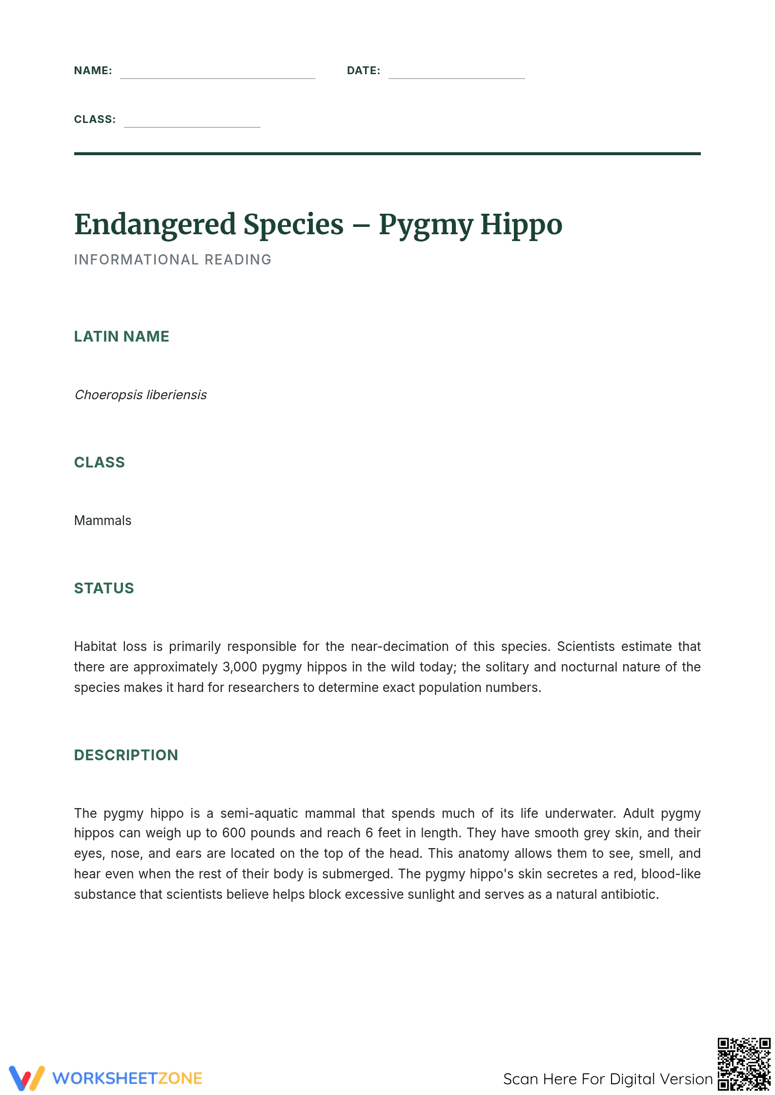 Pygmy Hippo Reading Worksheet | Grade 7 Essential - Page 1