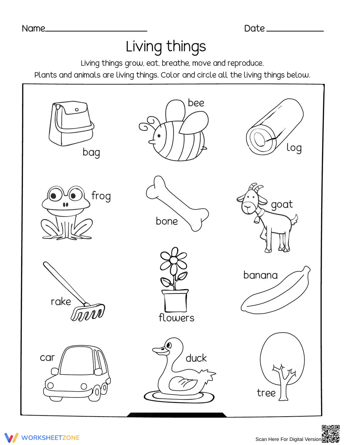 Living and Nonliving Things Worksheet | Grade 3 Essential - Page 1