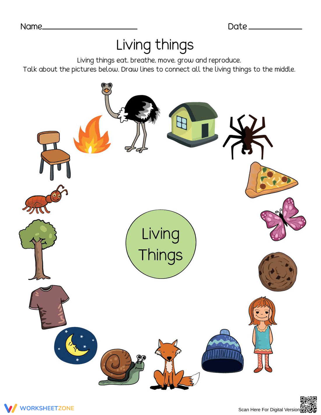 Identifying Living and Non-Living Things - Page 1