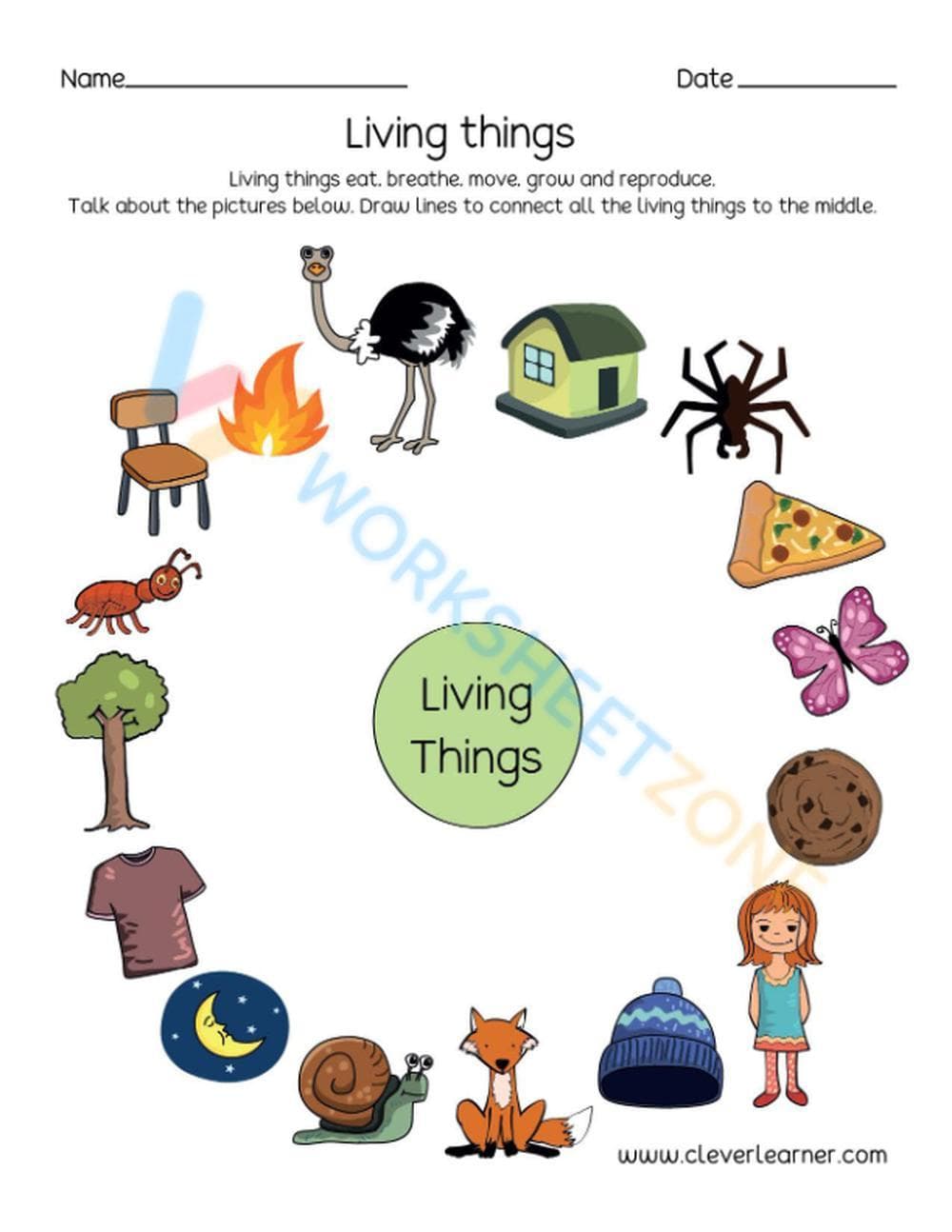 Identifying Living and Non-Living Things - Page 1