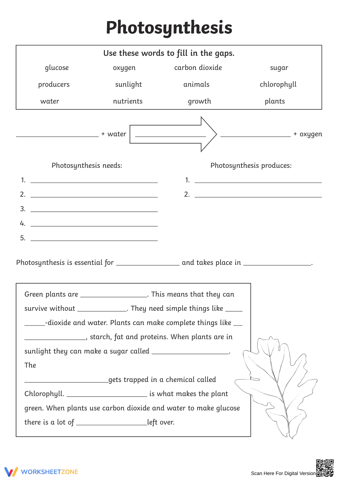 Understanding Photosynthesis - Page 1