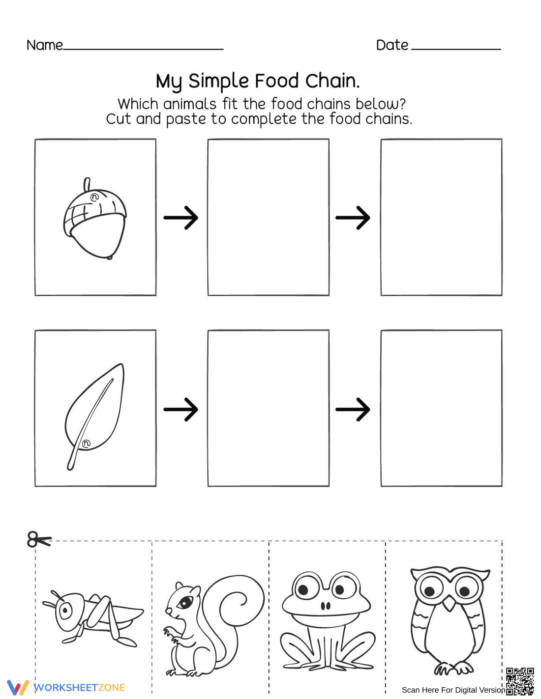 Introduction to Food Webs and Food Chains - Page 1