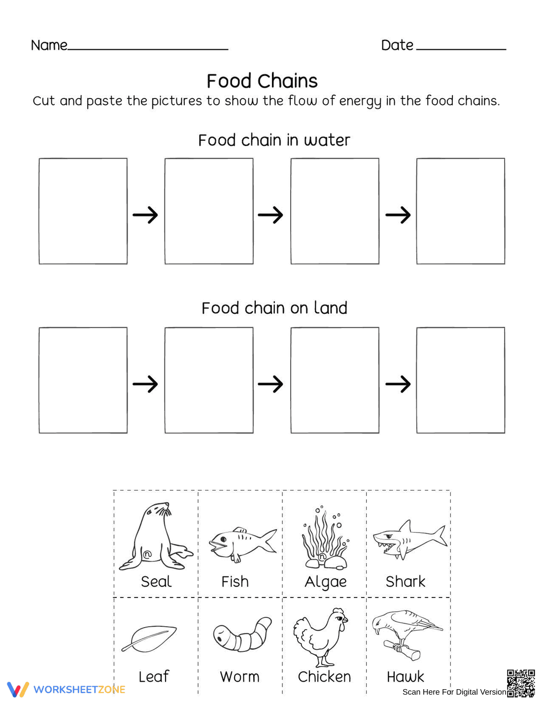 Printable Food Chains Worksheet | Grade 2 Science - Page 1
