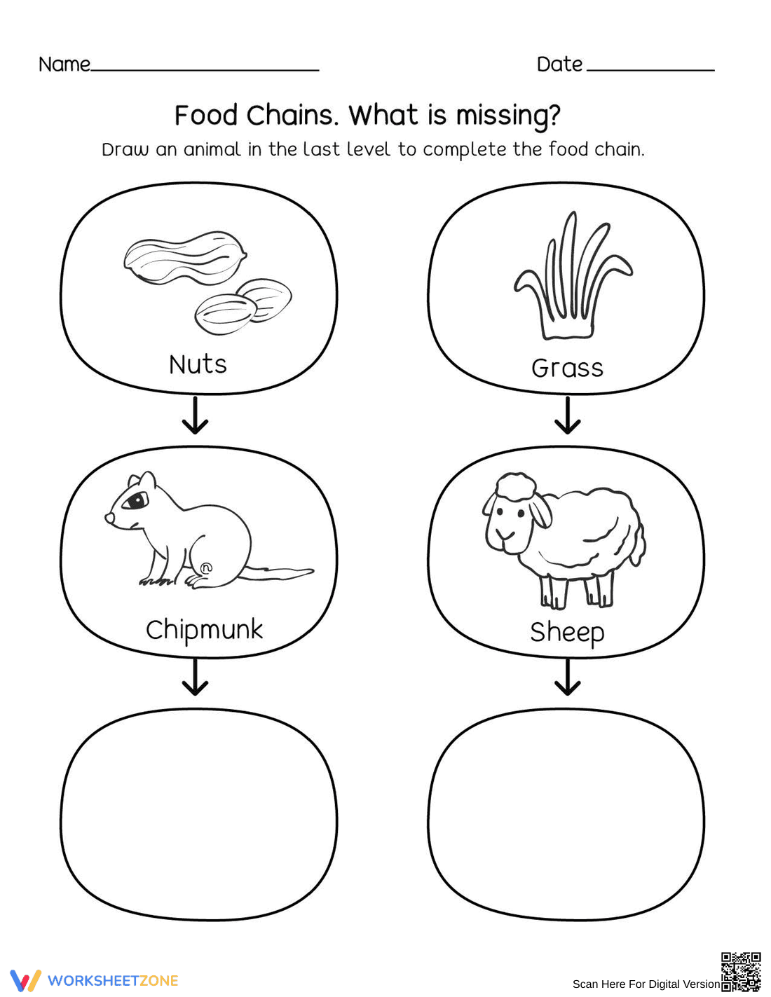Essential Food Chains Worksheet | Grade 2 Science - Page 1