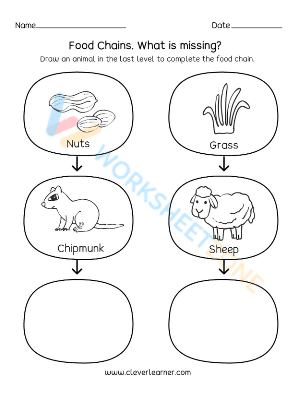 Essential Food Chains Worksheet | Grade 2 Science - Page 1