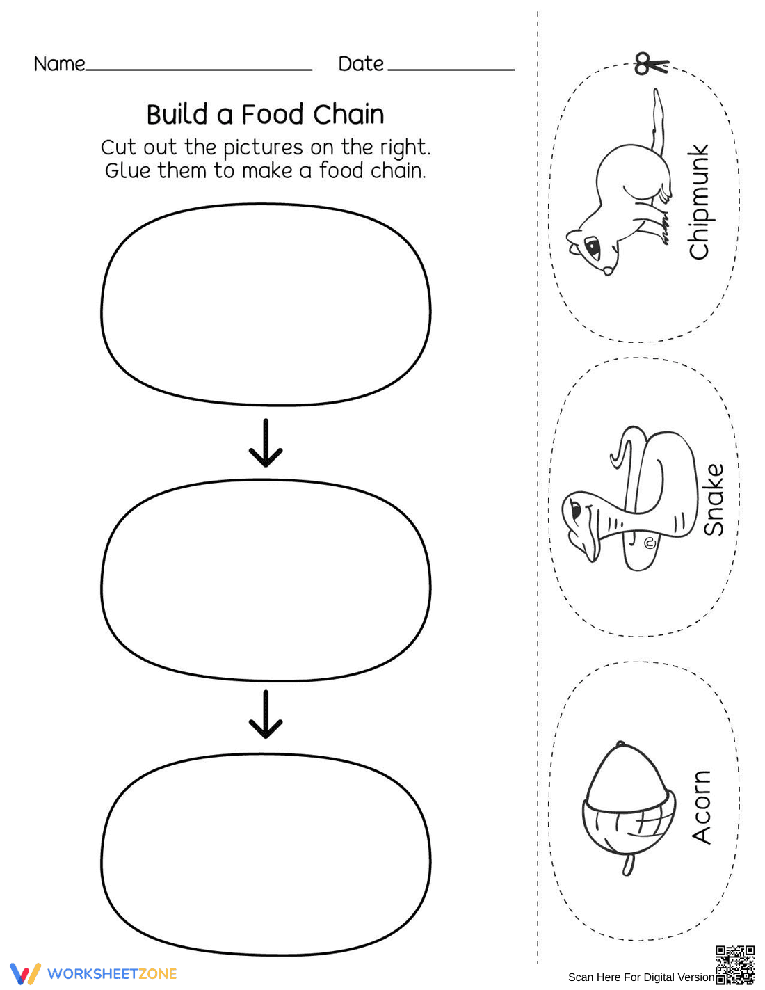 Understanding Food Webs & Food Chains - Page 1