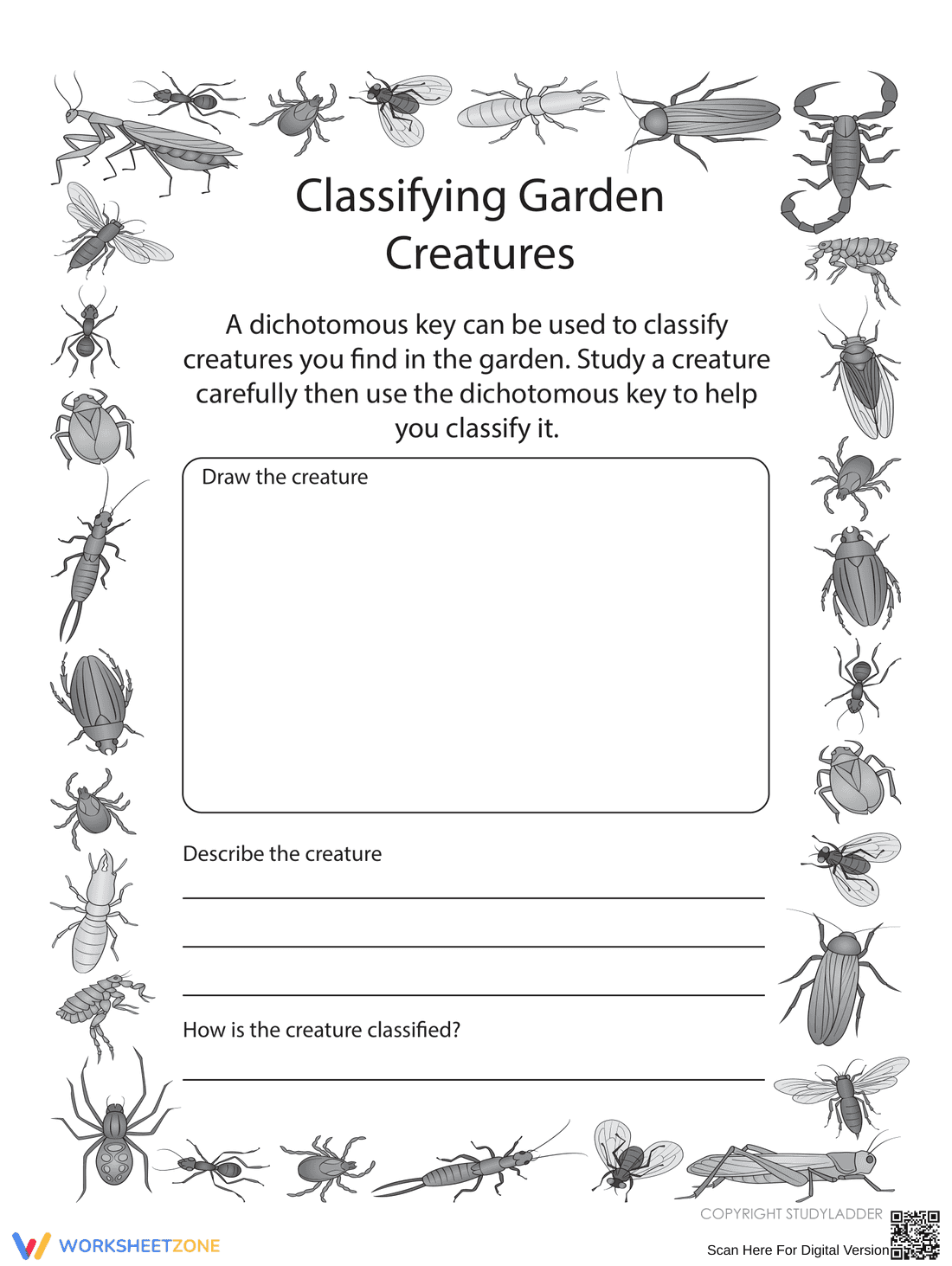 Printable Dichotomous Key Worksheet | Grade 7 Science - Page 1