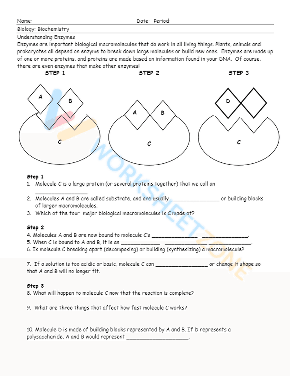 Printable Enzyme Worksheet | Grade 9 Biology - Page 1