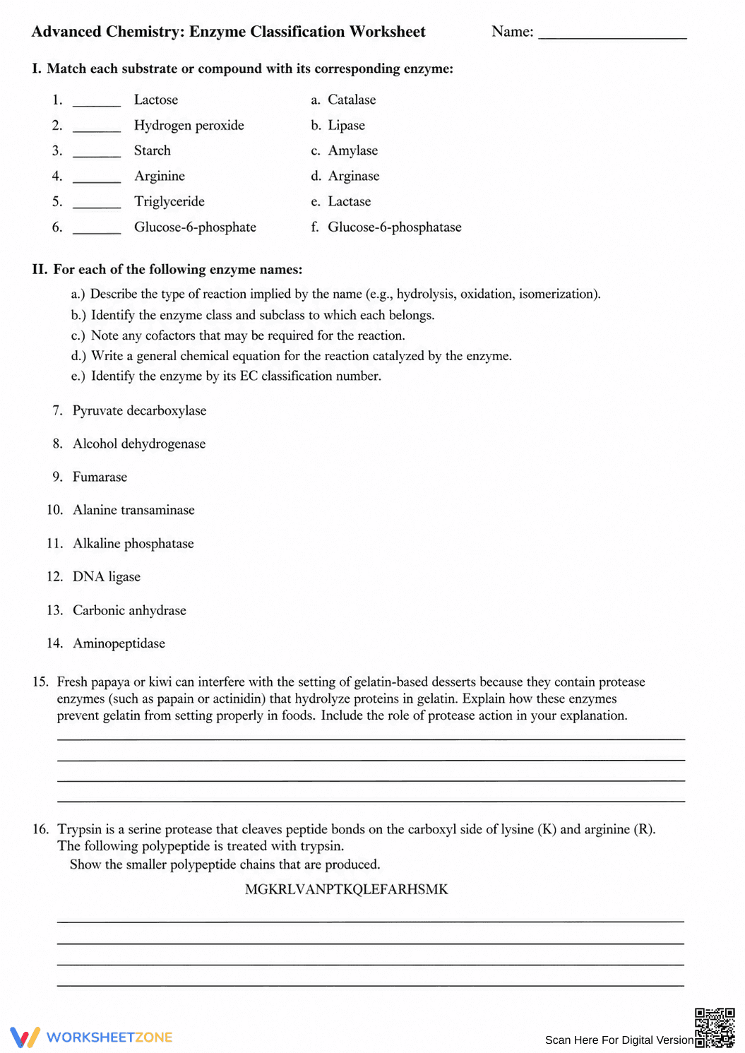 Printable Enzyme Classification Worksheet | Grades 9-12 - Page 1
