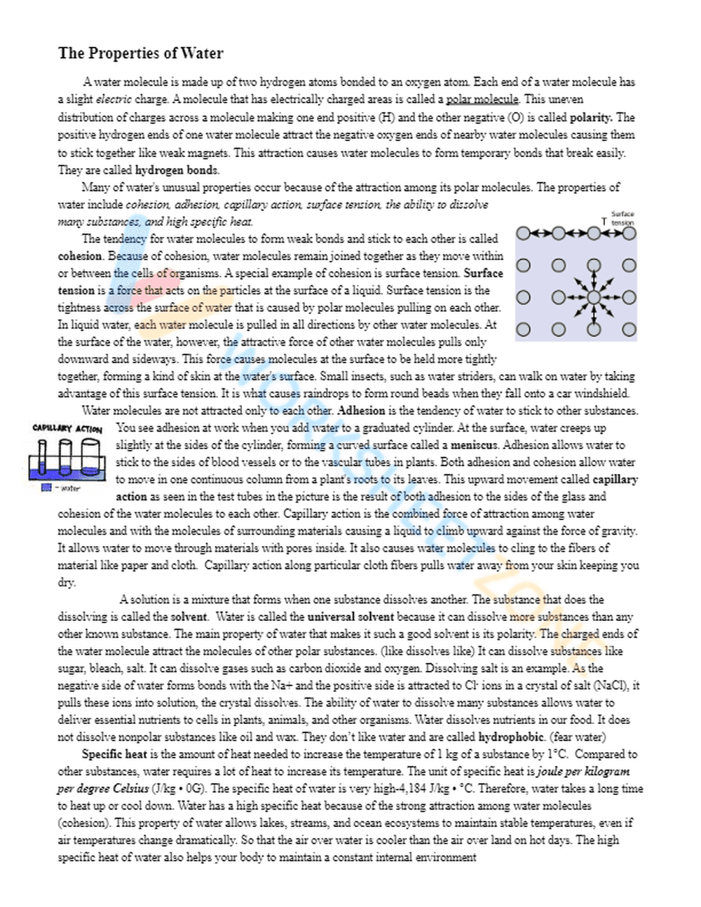 Properties of Water Worksheet | Essential Grade 7-12 Science - Page 1