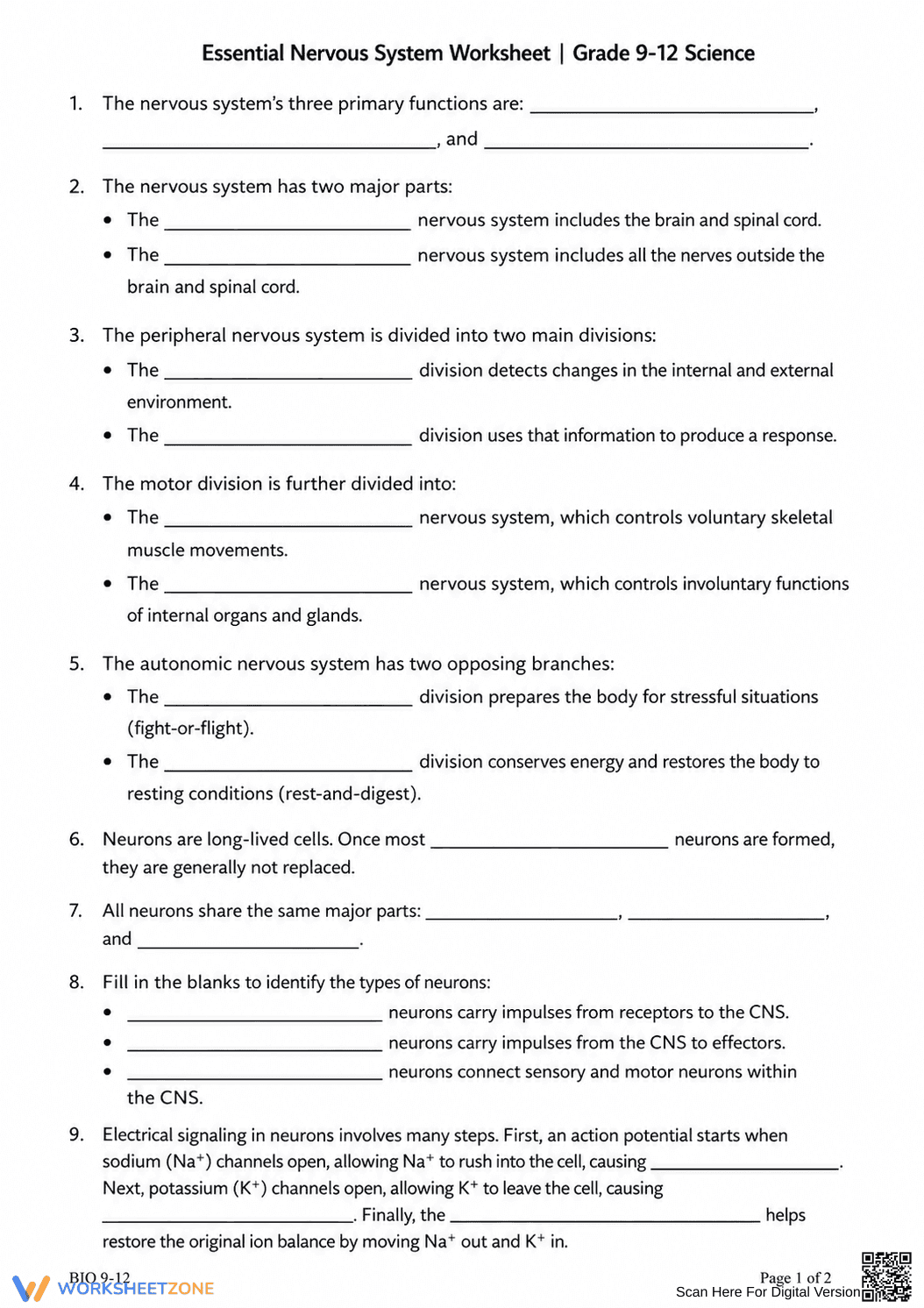 Nervous System Printable Worksheet | Grade 9-12 Biology - Page 1